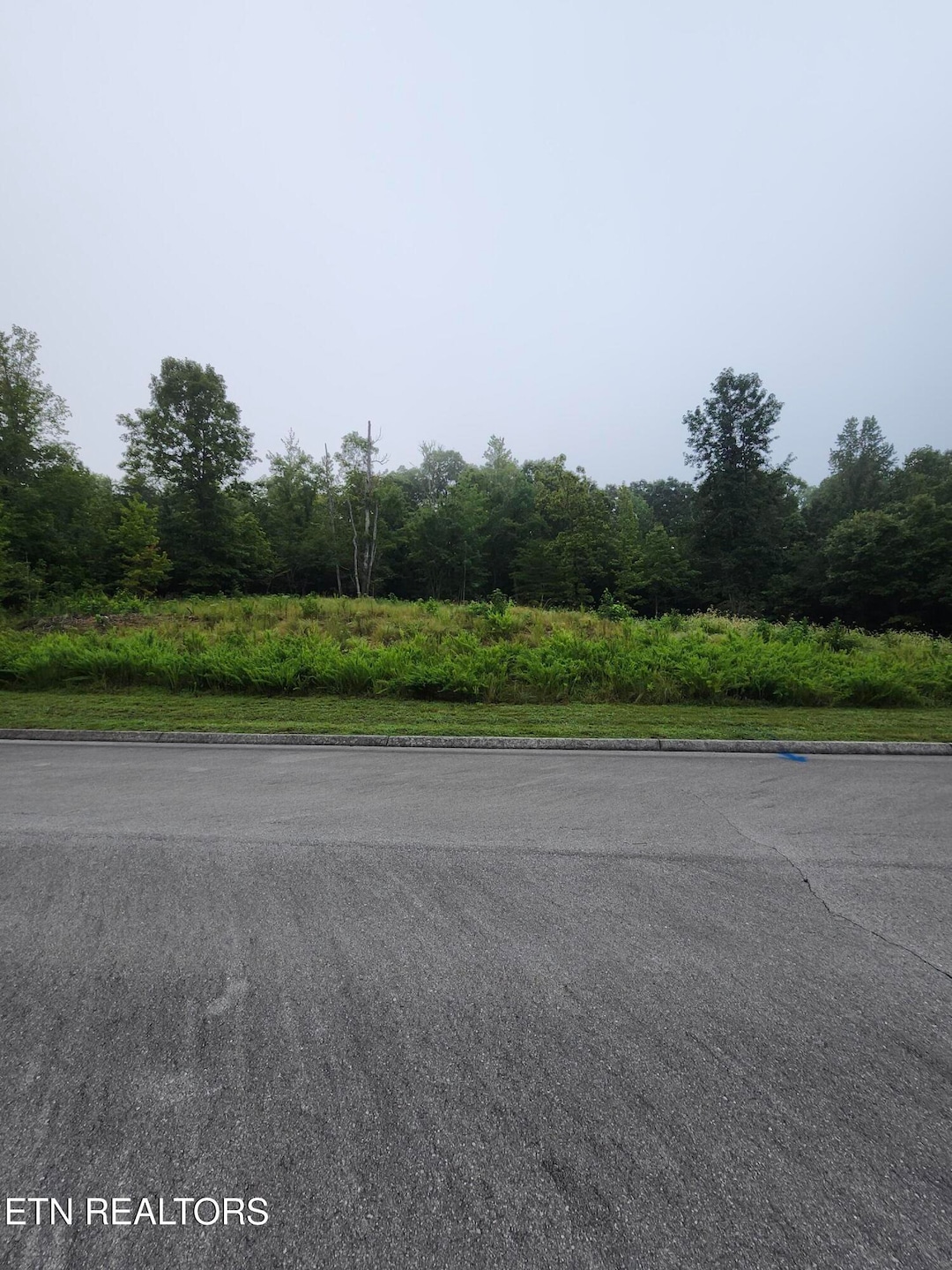 302 Caney View (W Dock) Dr, Harriman, TN 37748 - photo 1