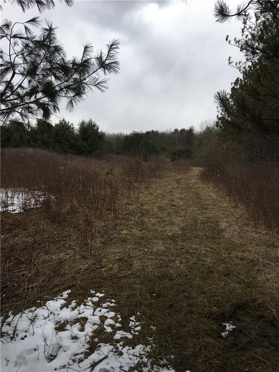 There are some trails on the property.