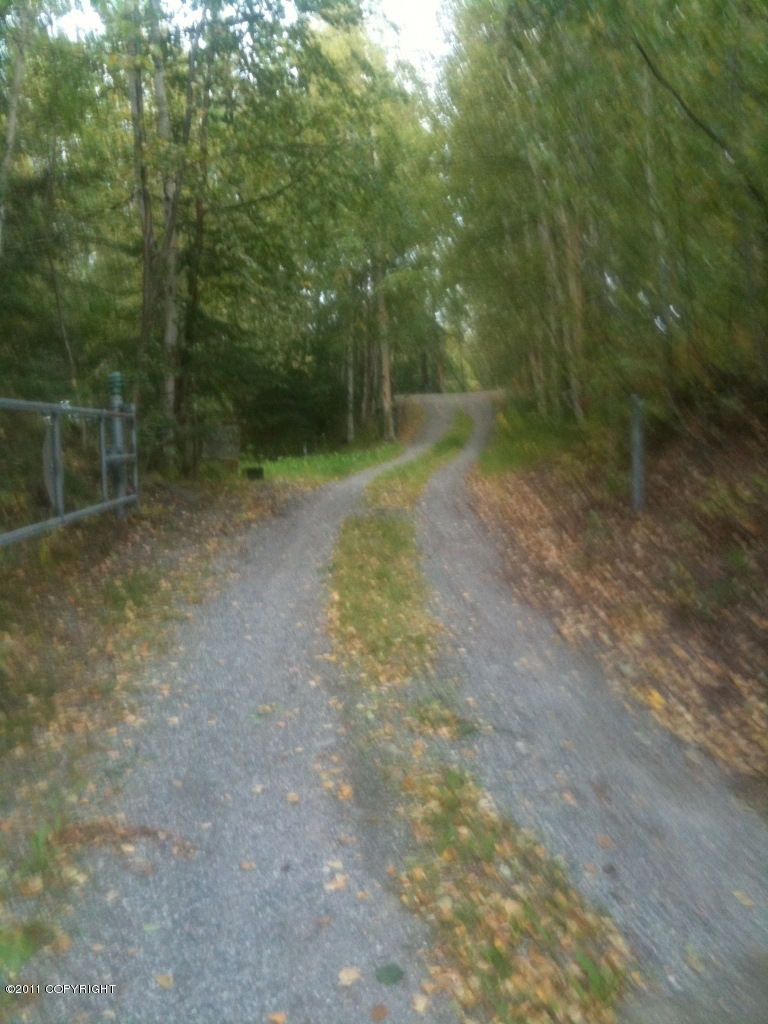 shared driveway on west edge