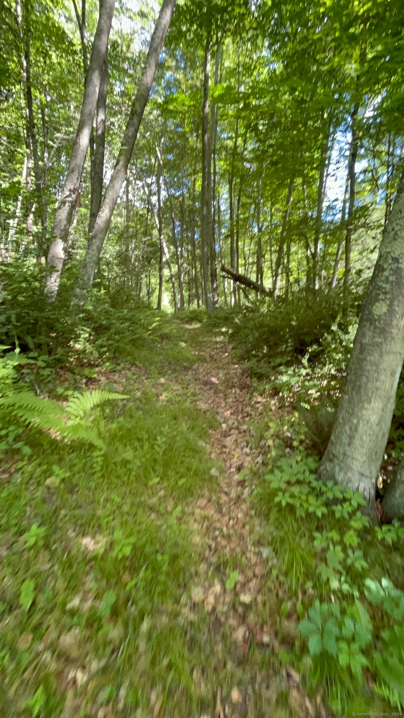 36 Georges Hill Rd, Newtown, CT 06470 - photo 1