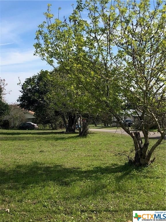 1409 Earle St, San Marcos, TX 78666 - photo 1