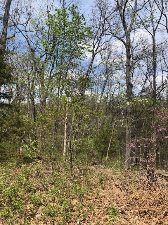 0 Taunton Ln, Bella Vista, AR 72715 - photo 1