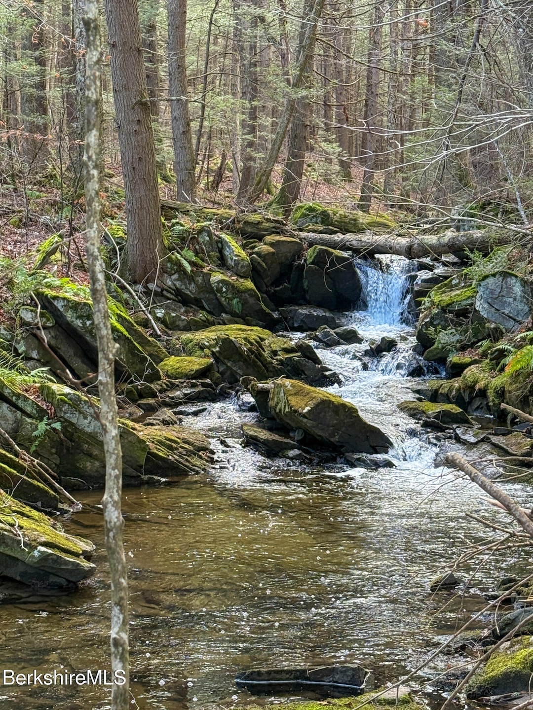 Lot 8 Benton Hill Rd, Becket, MA 01223 - photo 1