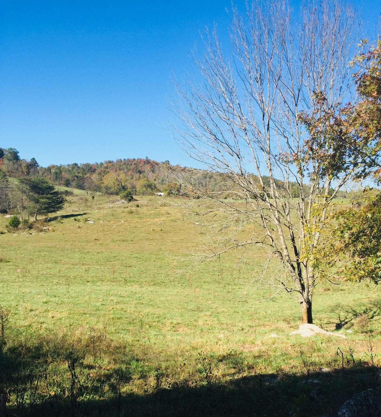 7190 Herrin Ln, Somerset, KY 42501 - photo 1