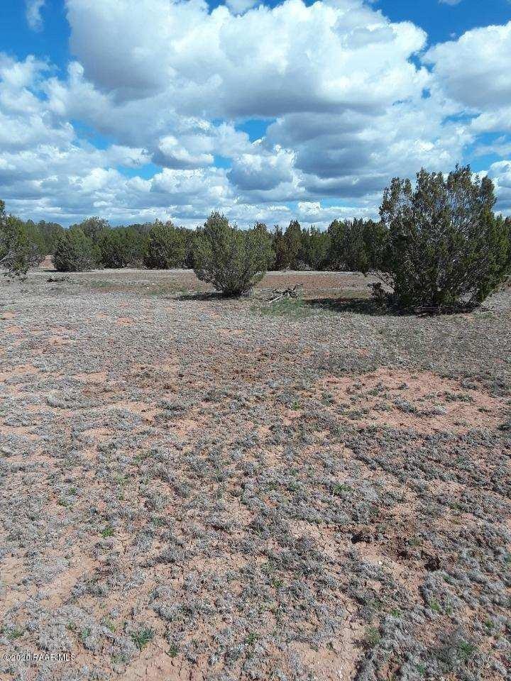 30207139d N Cattle Dr, Ash Fork, AZ 86320 - photo 1