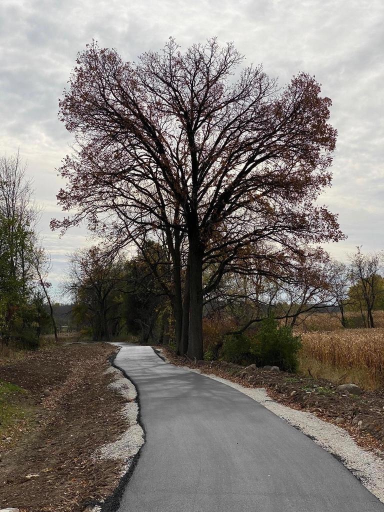 Hillside ridge trail