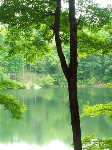 0 Lakeview Dr unit ONEH3329421, Dover, NY 12564 - photo 1