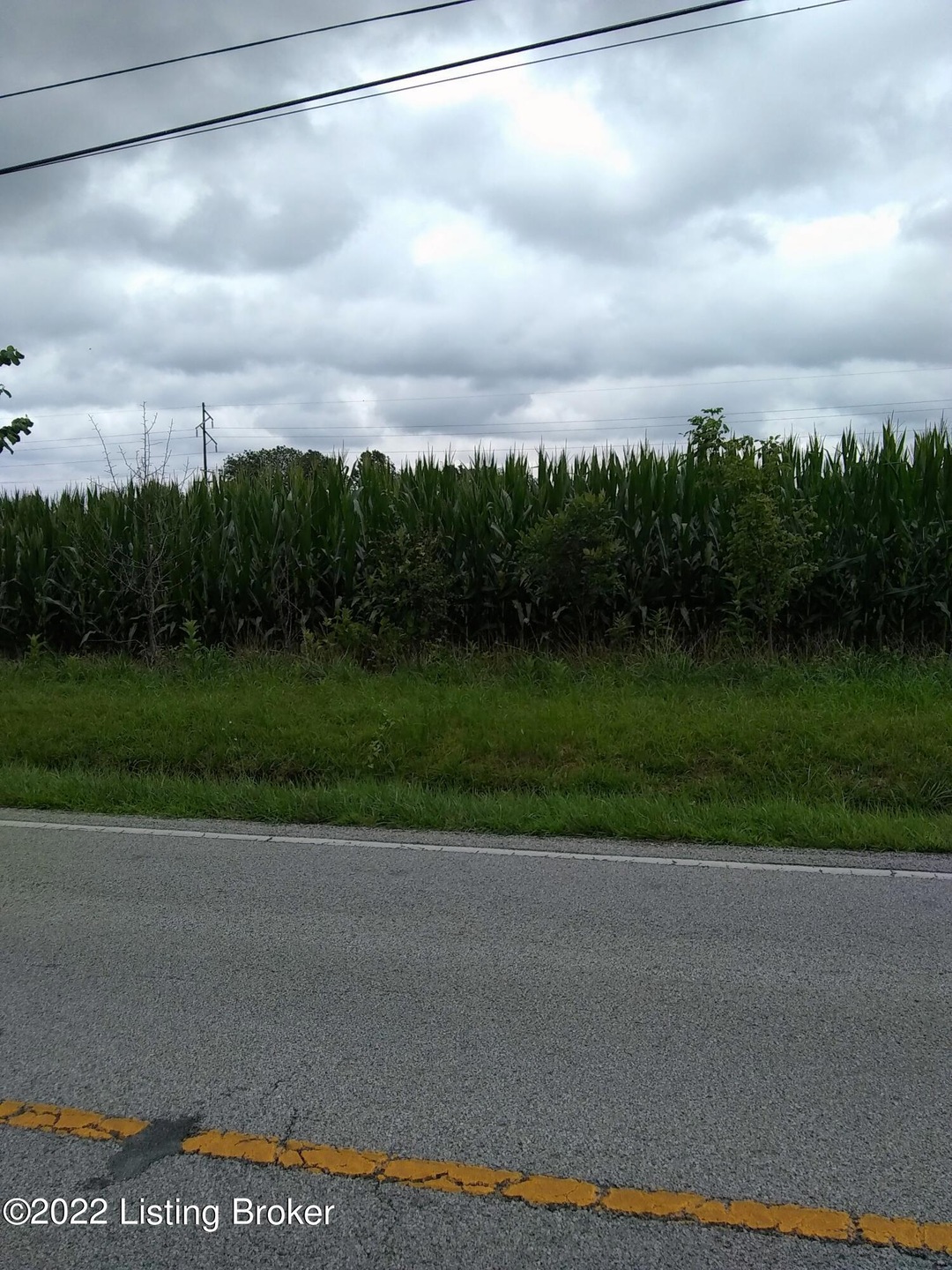 IMG_20220725_113006771