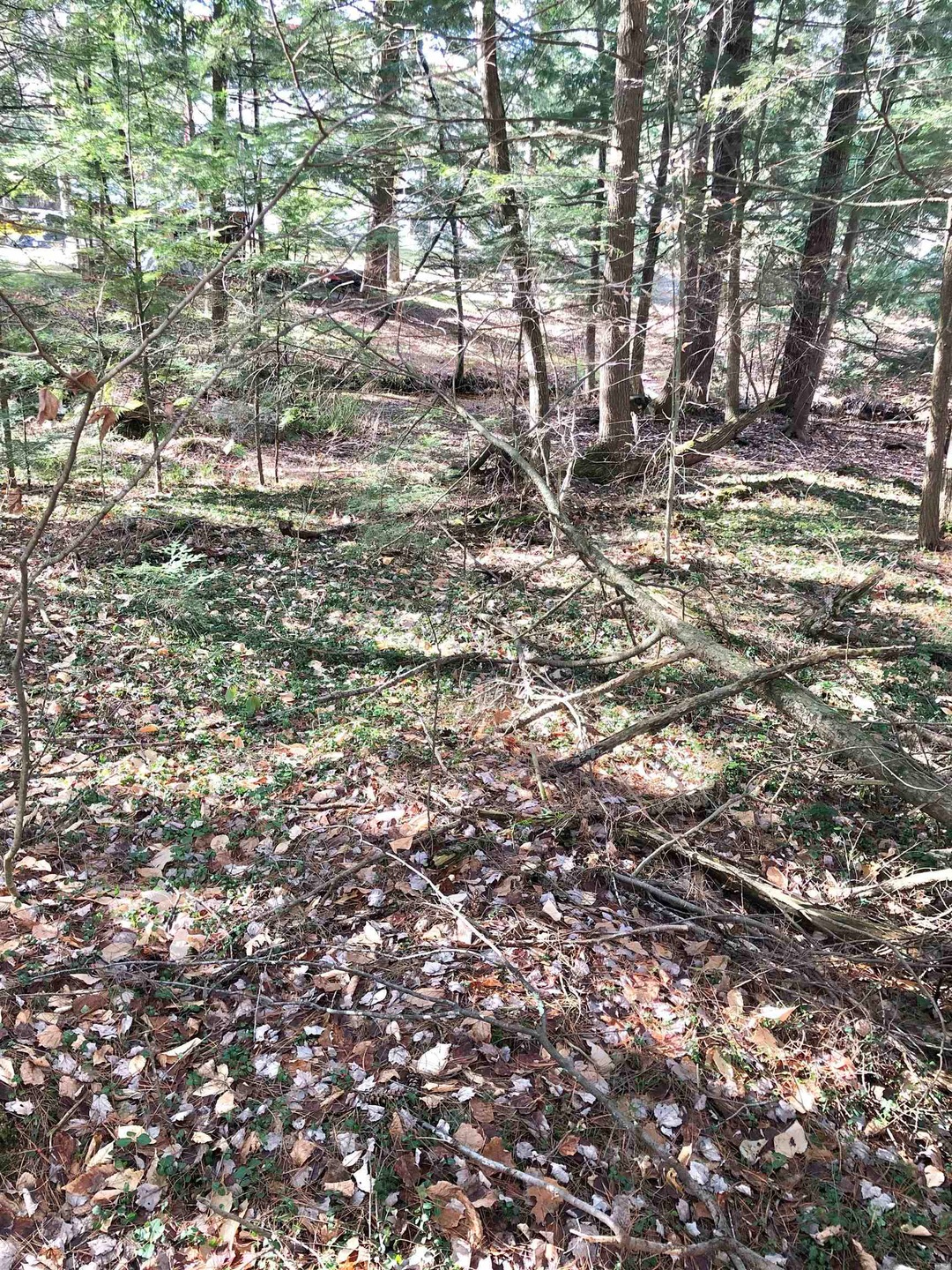 00 Beaver Glen Rd, Hillsboro, NH 03244 - photo 1