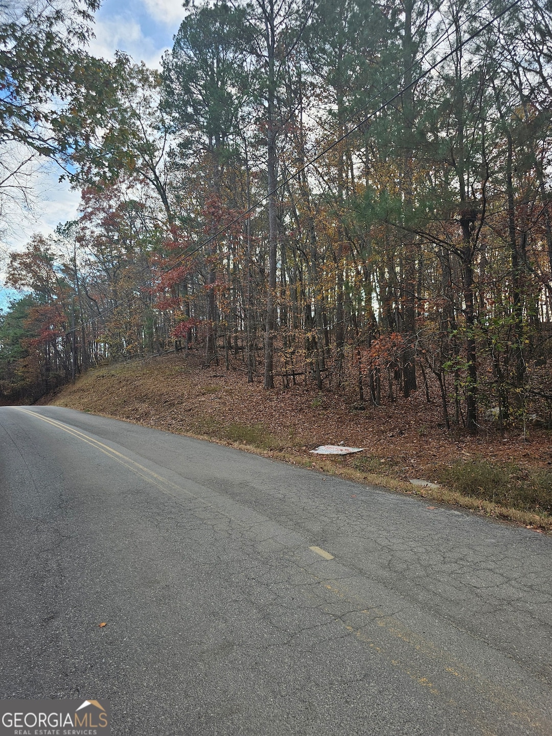 Beautiful lot in an established neighborhood.