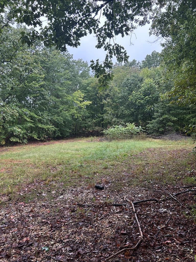 141 Kozy Ln, Buckingham, VA 23921 - photo 1