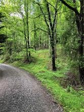 0 Sleepy Gap Rd unit 6 3461549, Arden, NC 28704 - photo 1