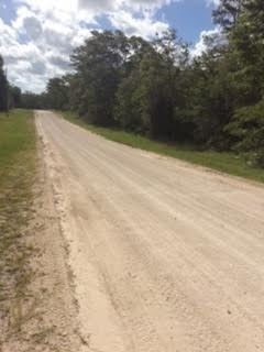 18510 E Royal Oak Dr unit 1, Perry, FL 32348 - photo 1