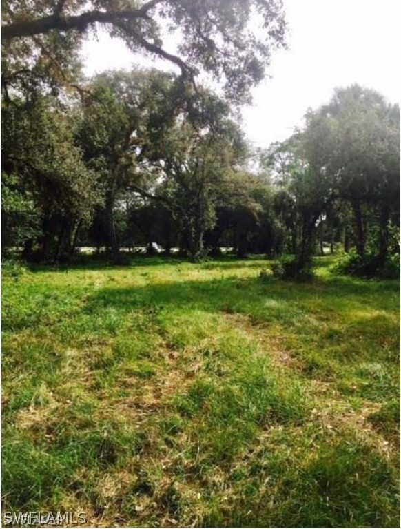 18821 Palm Beach Blvd, Alva, FL 33920 - photo 1