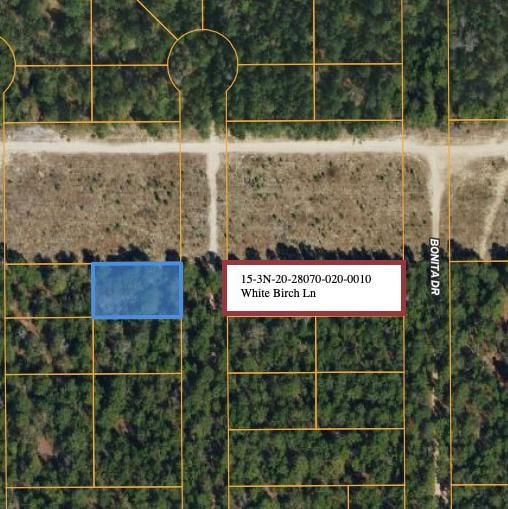 White Birch Ln, Defuniak Springs, FL 32433 - photo 1