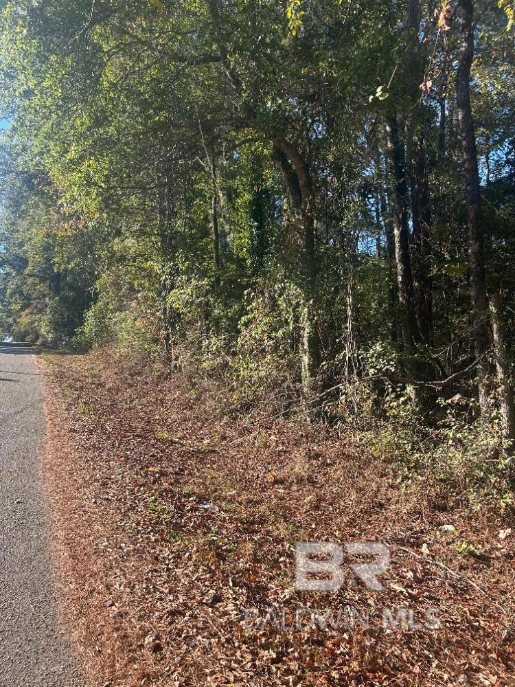 0 Lee St, Castleberry, AL 36432 - photo 1