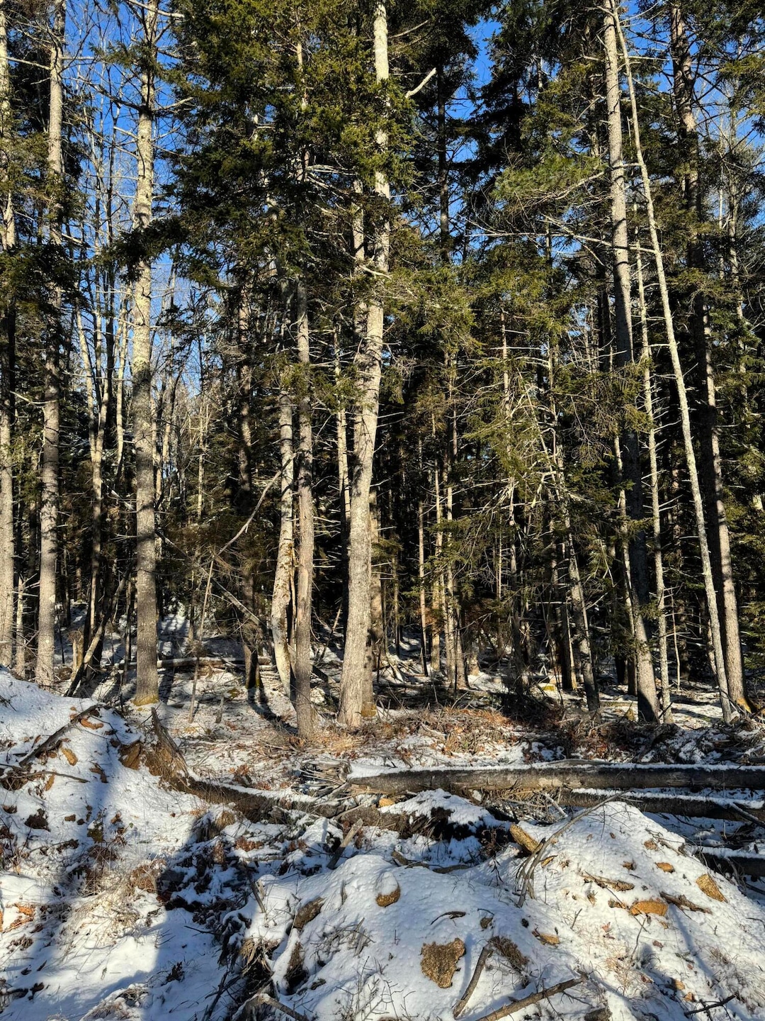 Map 004 Lot 089-03, Bristol, ME 04558 - photo 1