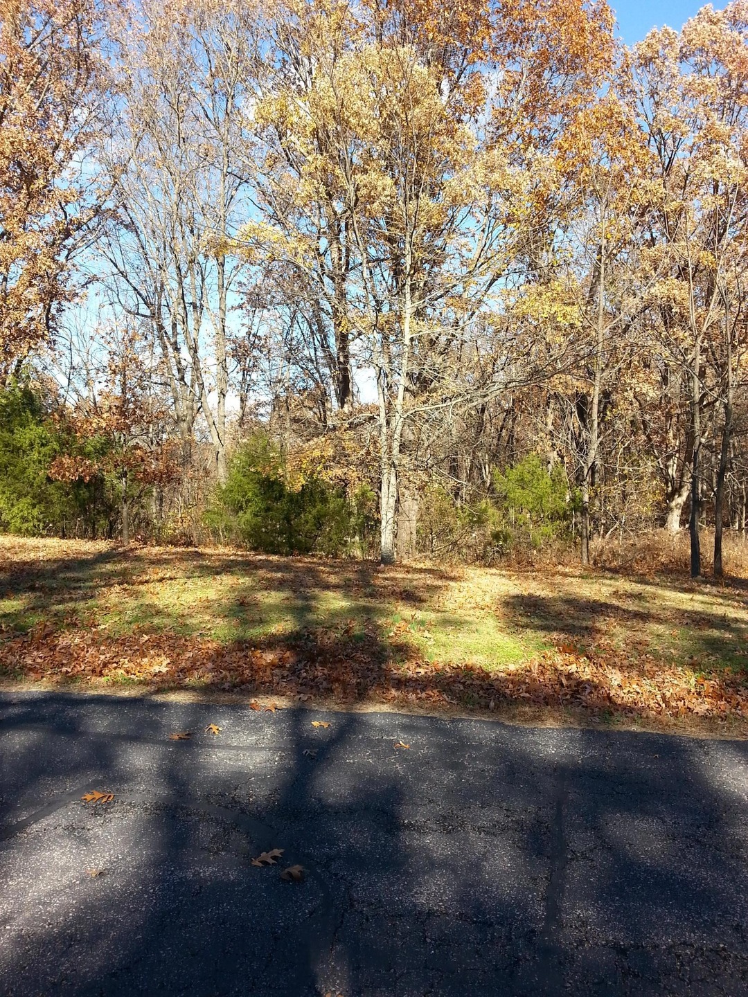 Lot 37 Buttonwood, Kimberling City, MO 65686 - photo 1