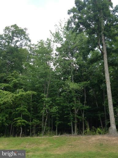 9115 Mariah Jefferson Ct unit 8, Lorton, VA 22079 - photo 1