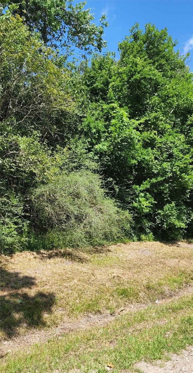 0 Helena unit 89734526, Brookside, TX 77581 - photo 1