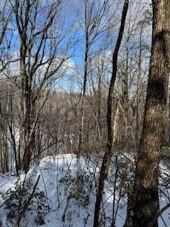 18N Bear Paw Rd, Jasper, GA 30143 - photo 1