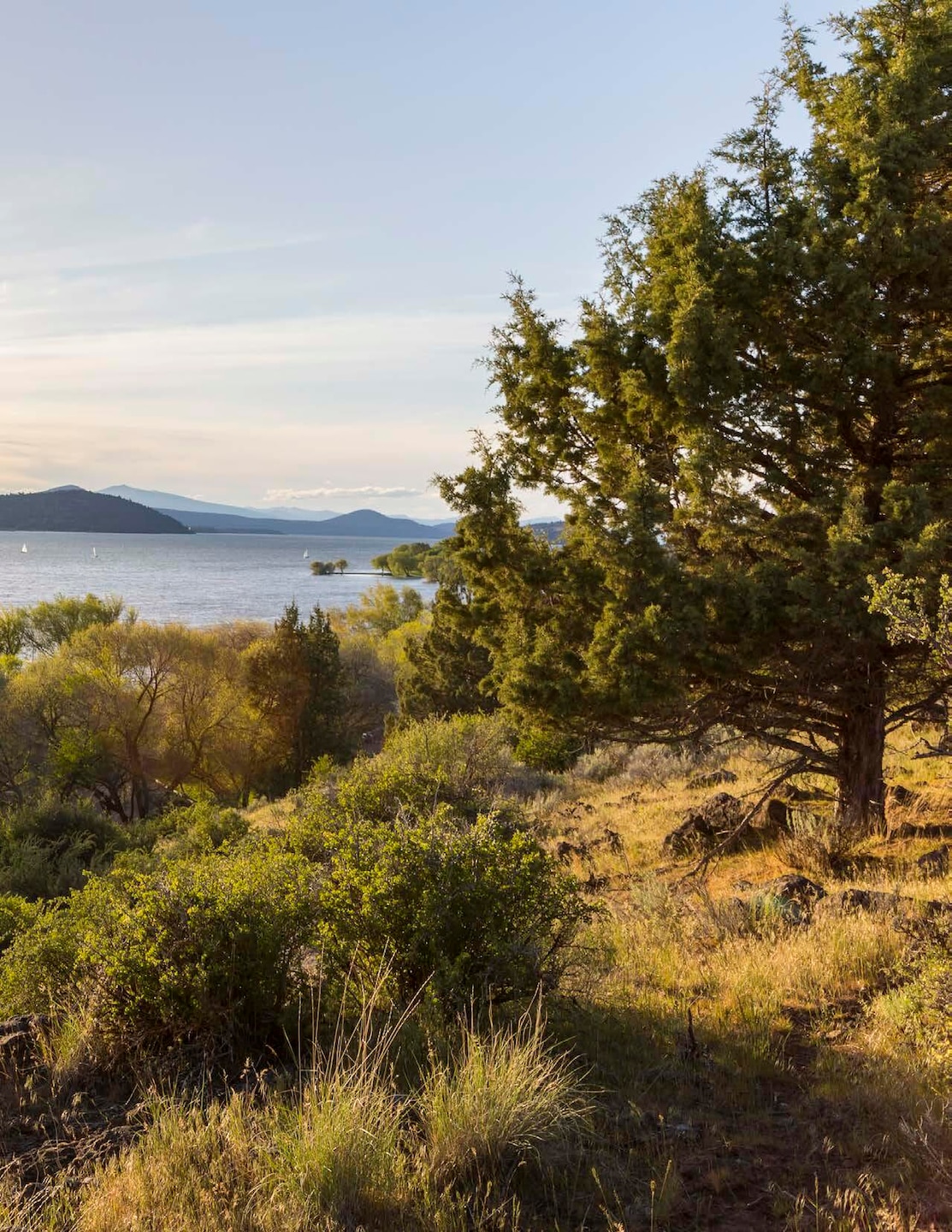 1047 Vine Maple Dr, Klamath Falls, OR 97601 - photo 1