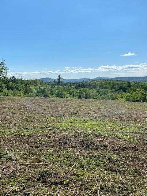 Sold $40,000 • Co-Listing Agent