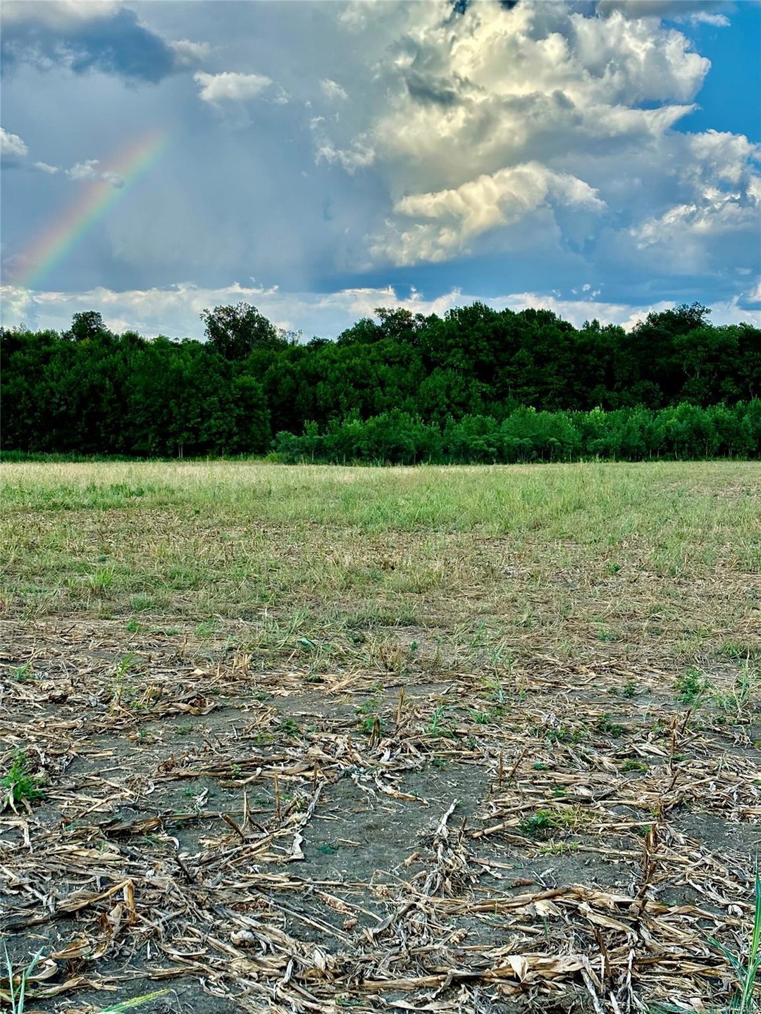 Look at the rainbow!