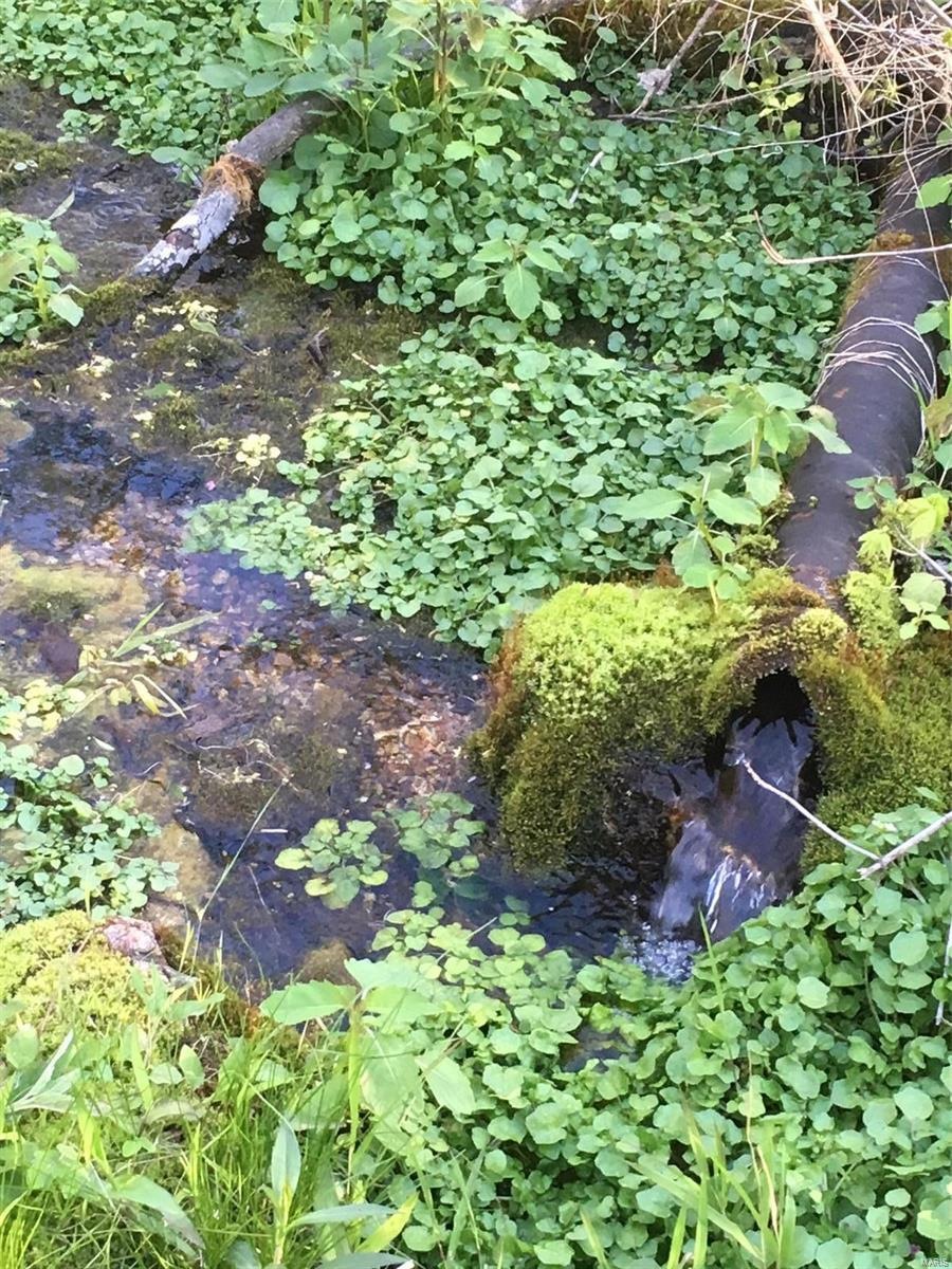 A steady flow of cold fresh water flows from this 