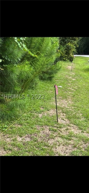 Roping along the front of the lot. Lot line is actually about 5-6 feet in. See survey.