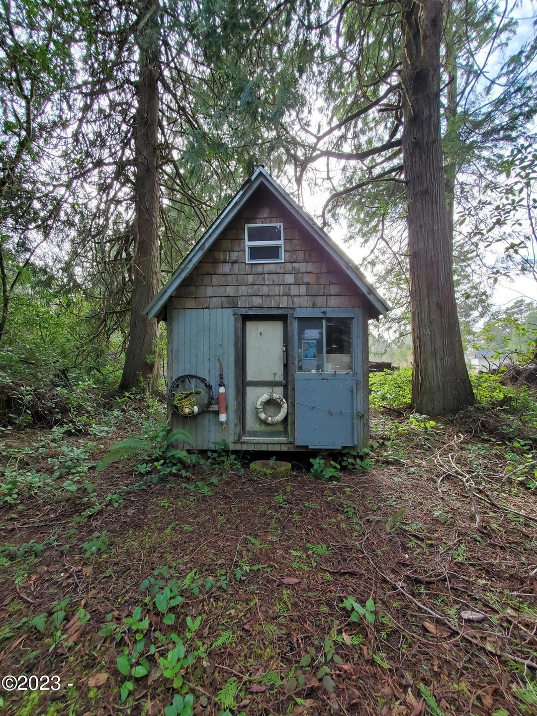 Back of Shed
