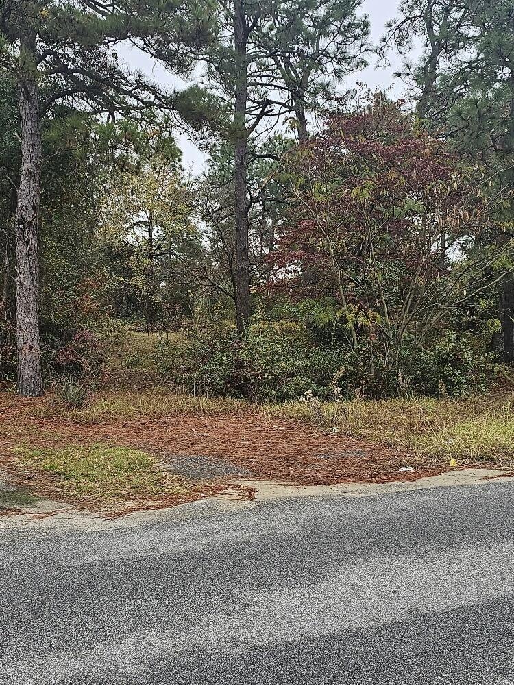 2307 Boykin Rd, Augusta, GA 30906 - photo 1