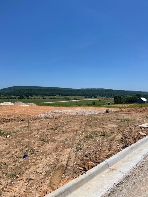 unlisted-address, Prairie Grove, AR 72753 - photo 1