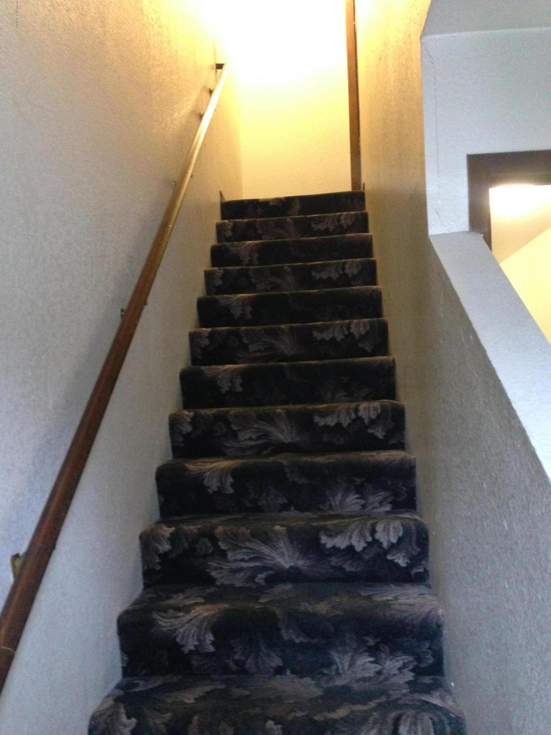 3921 Gardner St unit 3, Anchorage, AK 99508 - photo 1