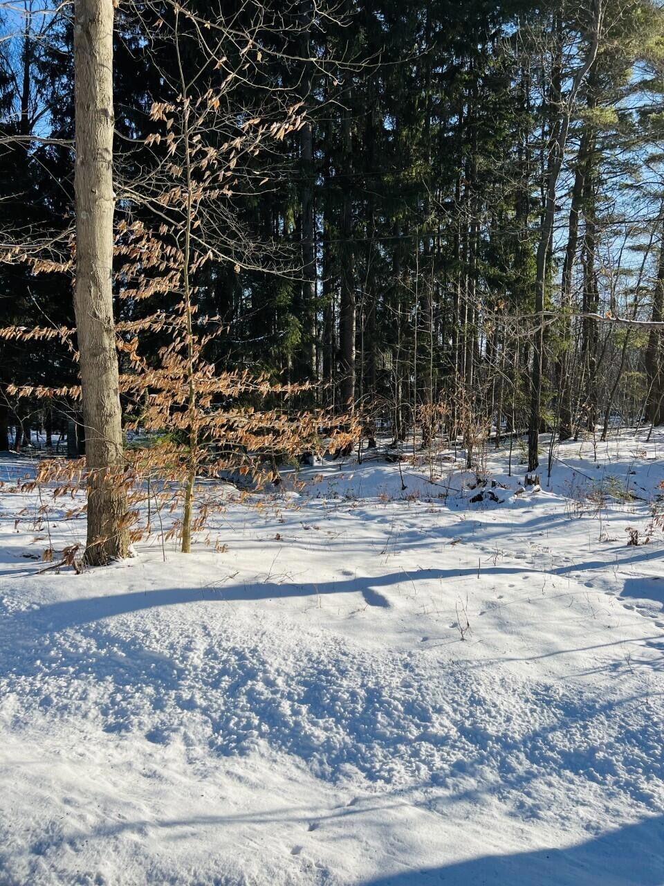 0 German Settlement Rd, Ridgway, PA 15853 - photo 1