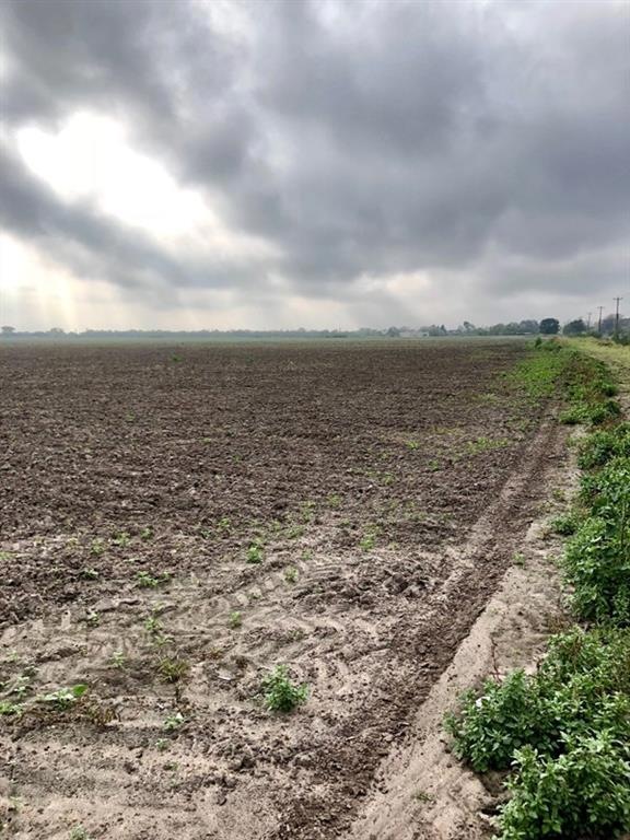 0 N Fm 493 Rd unit 215297, Donna, TX 78537 - photo 1