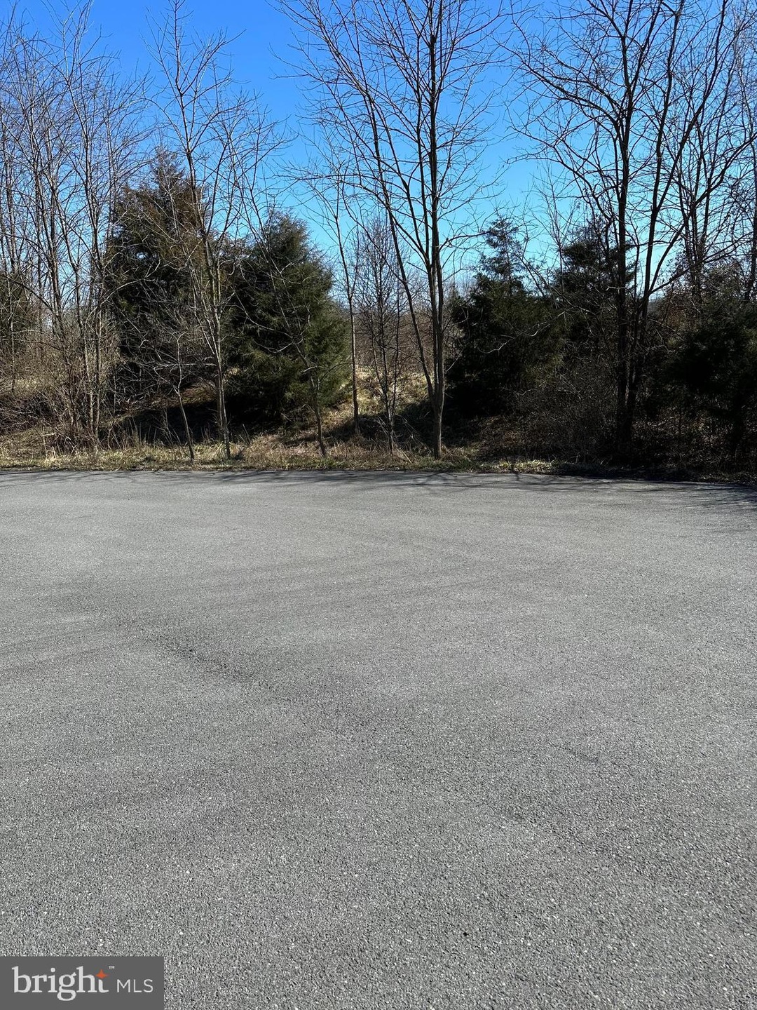 0 Marsh Hawk Way unit WVJF2011046, Shepherdstown, WV 25443 - photo 1