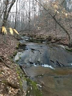 View of local wilderness with a water view