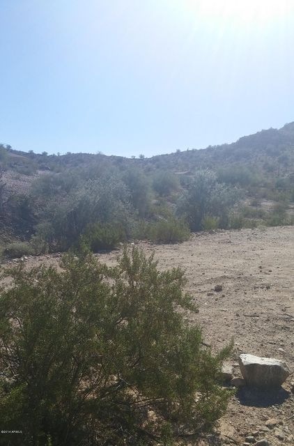 Landscape1