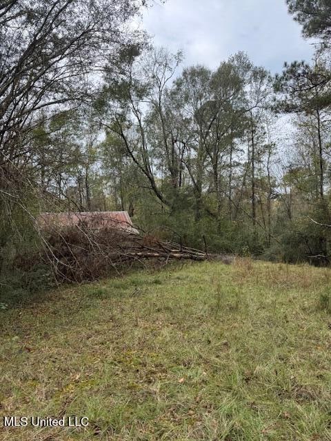 00 Coons Mill Rd, Centreville, MS 39631 - photo 1