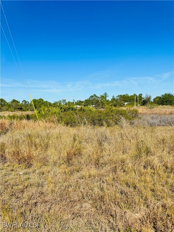 View of local wilderness featuring a rural view