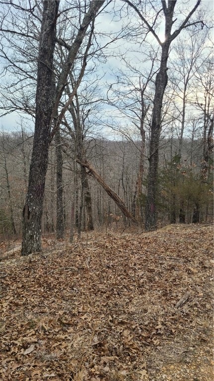 0 Orwell Cir unit 1240967, Bella Vista, AR 72715 - photo 1