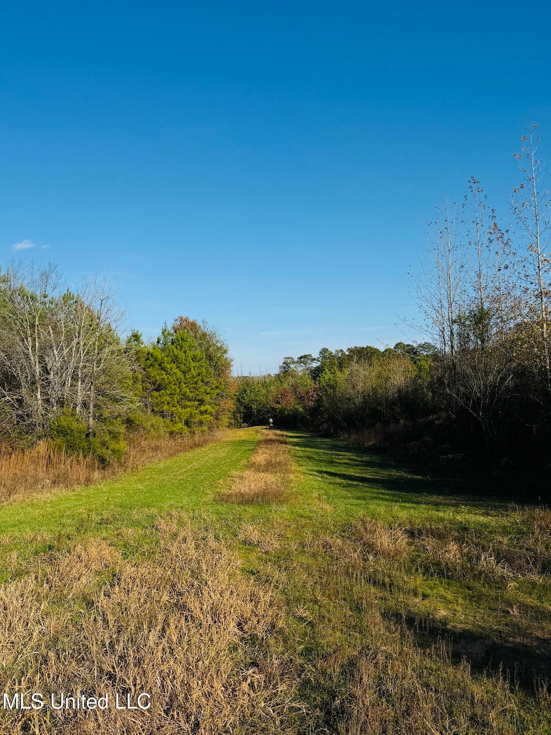 0 County Road 4210, Sallis, MS 39160 - photo 1