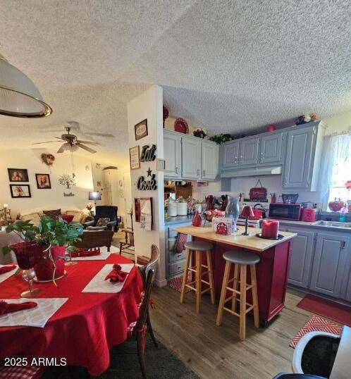 Renovated Kitchen