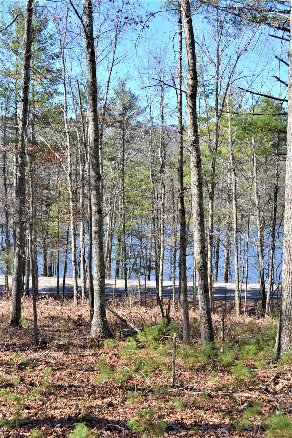 Lake View