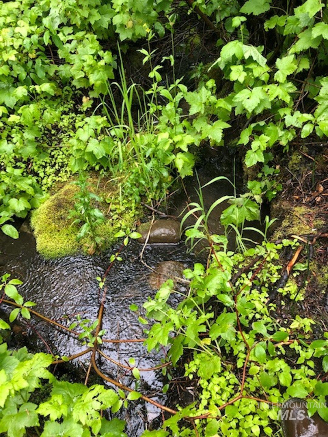 15 Heidi Ln, Cascade, ID 83611 - photo 1