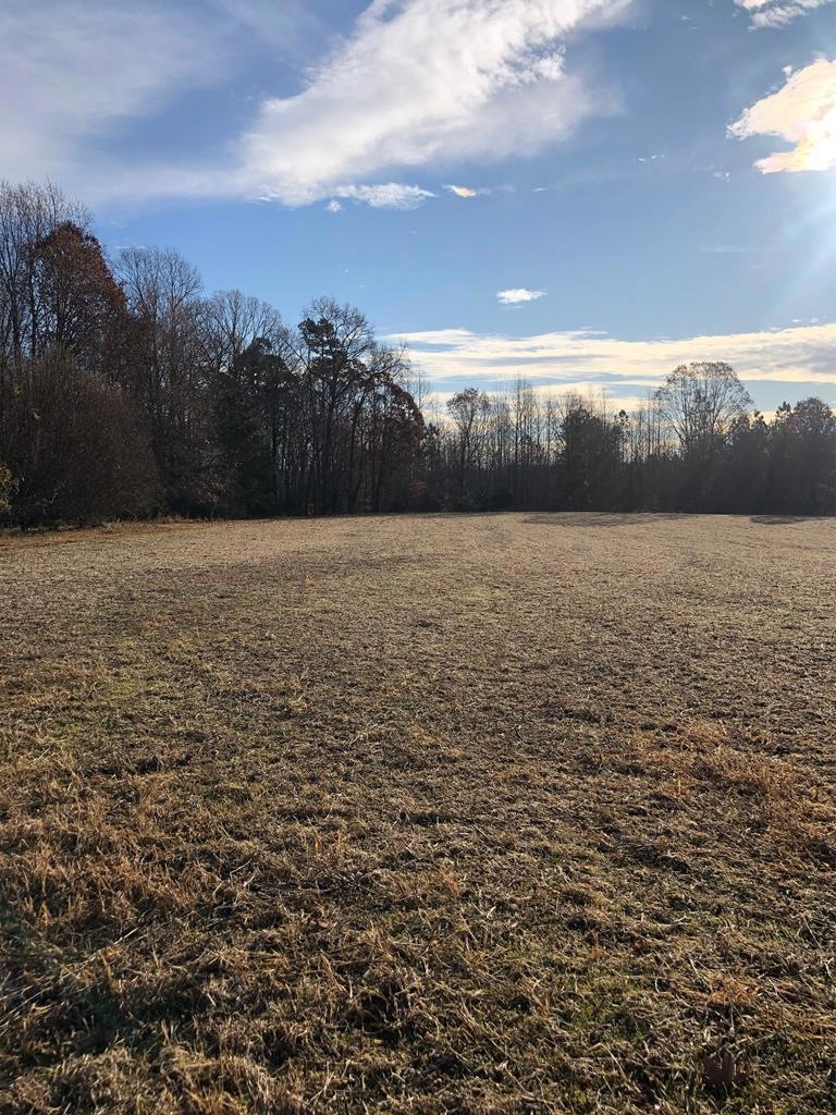 120 Twin Cedar Rd, South Hill, VA 23970 - photo 1