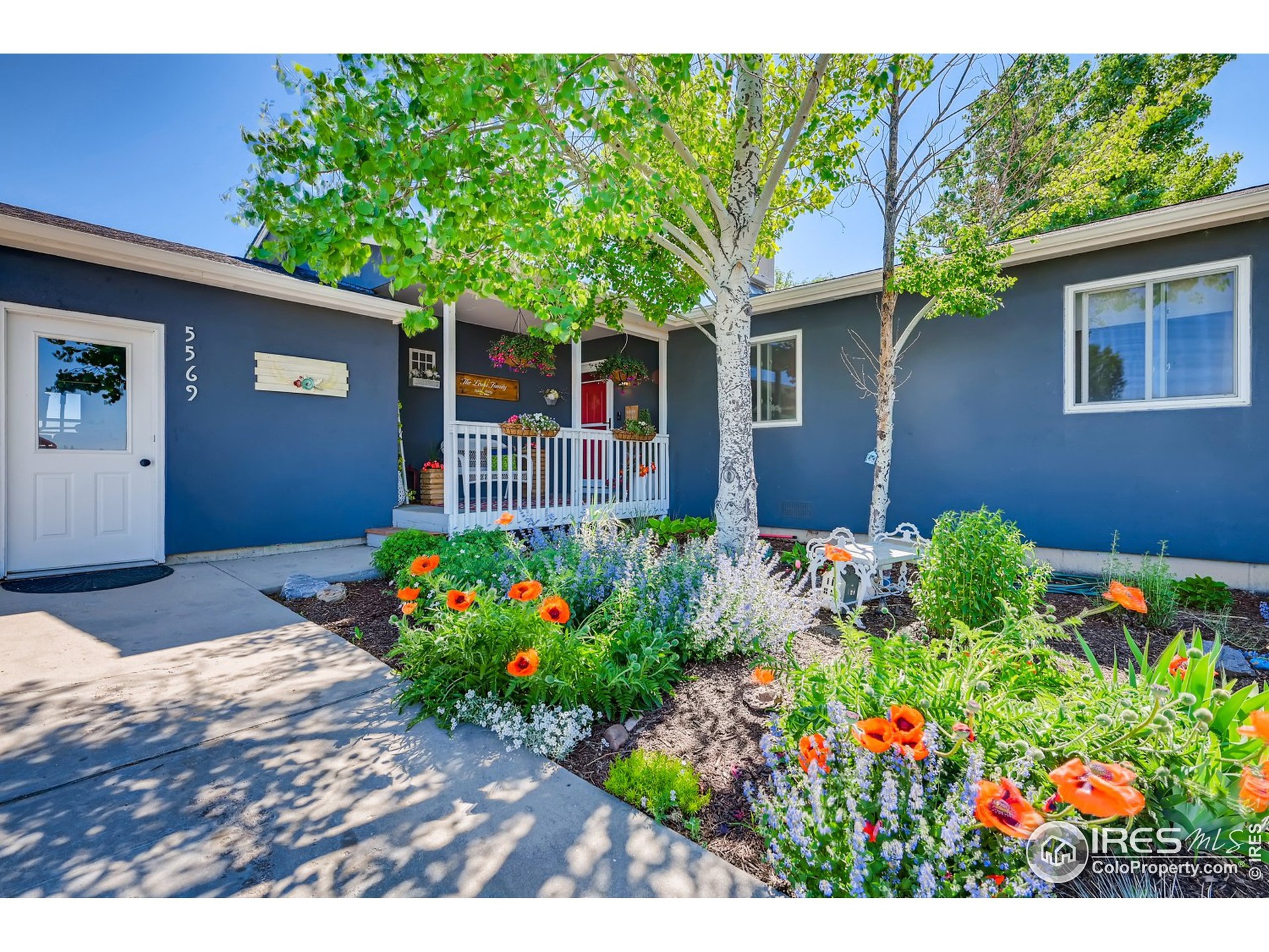 5569 Summit Way, Erie, CO 80516 - photo 1