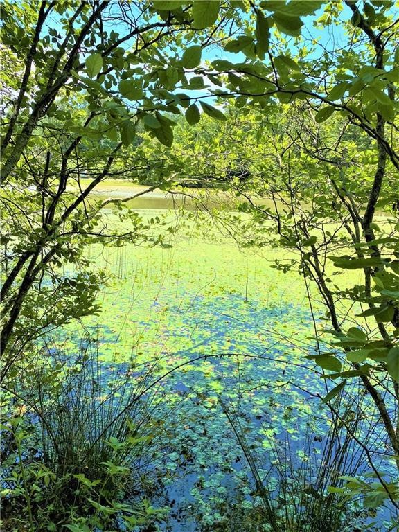 Lake frontage