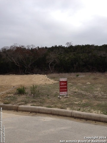23011 Prescott Falls, San Antonio, TX 78255 - photo 1